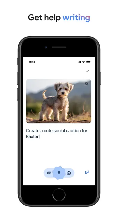 Google — Screenshots 4