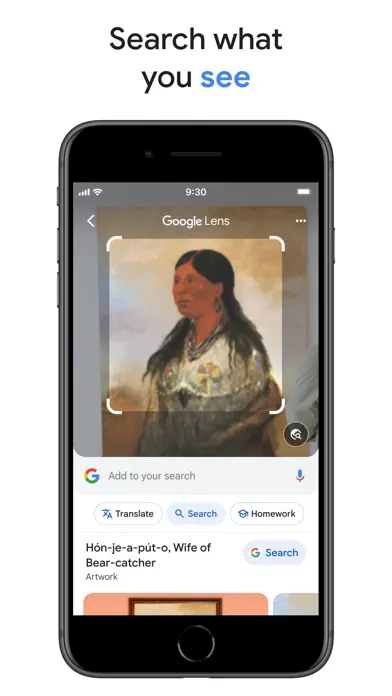 Google — Screenshots 6